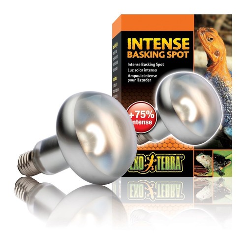 Exo terra intense - terra, basking