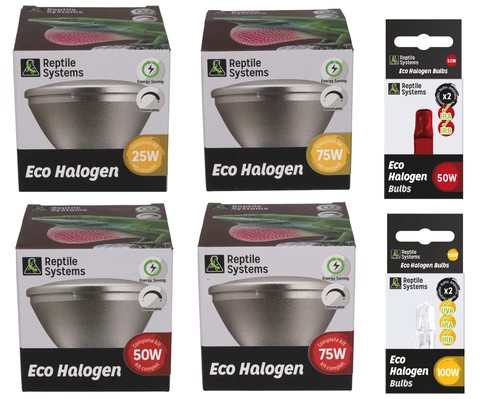 Reptilienanlage halogen weiß - halogen,