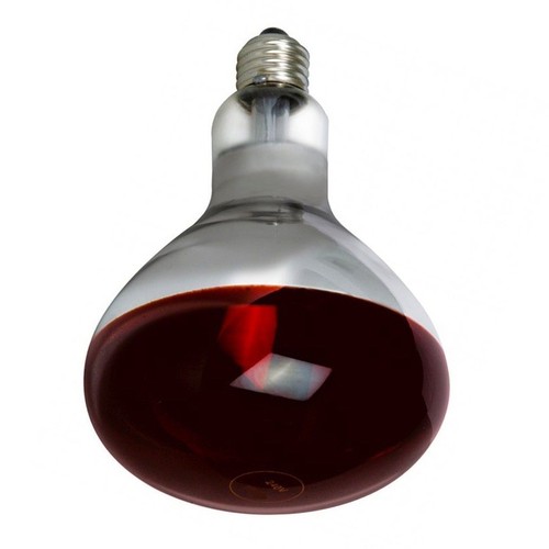Infrarot wärmebirne lampe - infrarot,