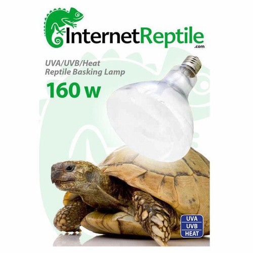 Internet reptil quecksilber - internet,