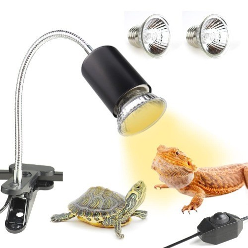 Schildkröten wärmelampe - schildkröten,