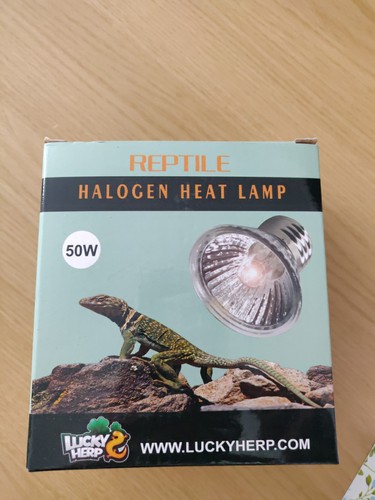 Reptilien halogen wärmelampe - halogen,