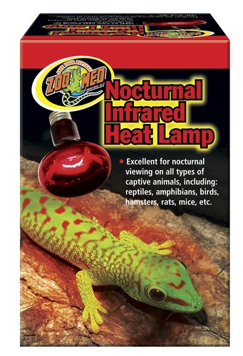 Nocturnal infrared heat - heat, lamp