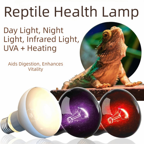 Stück reptilien heizlampe - 1,